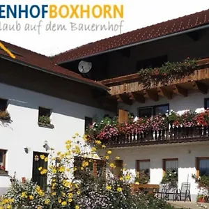 Woferlhof, Boxhorn Apartment Böbrach