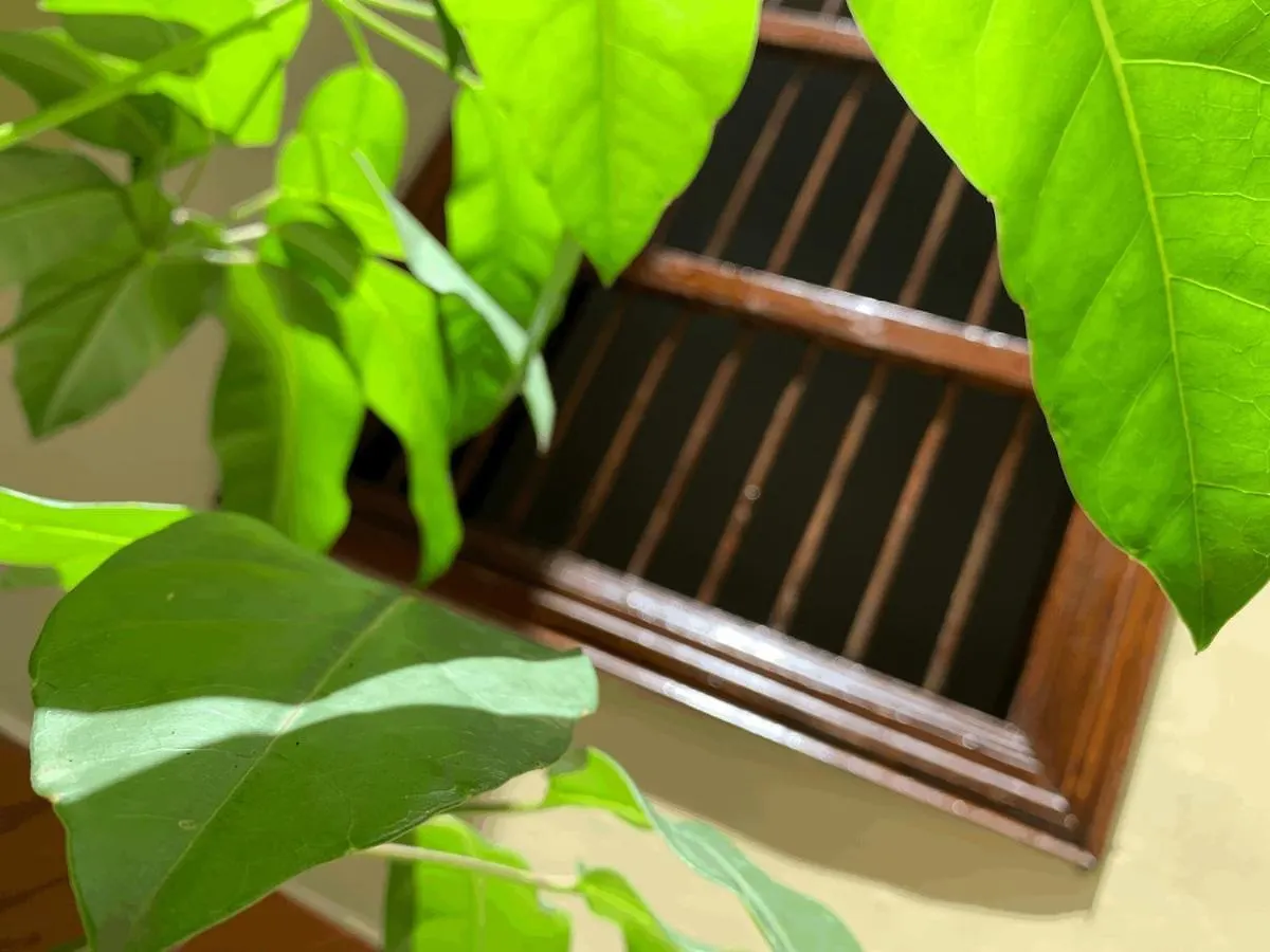 Homestay Casa Grande Apartment Medellin