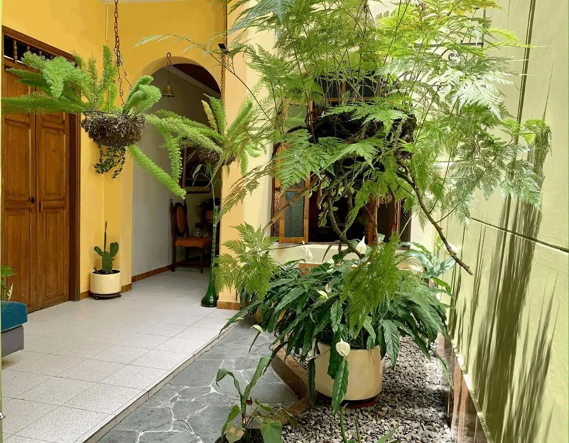 Homestay Casa Grande Apartment Medellin Colombia
