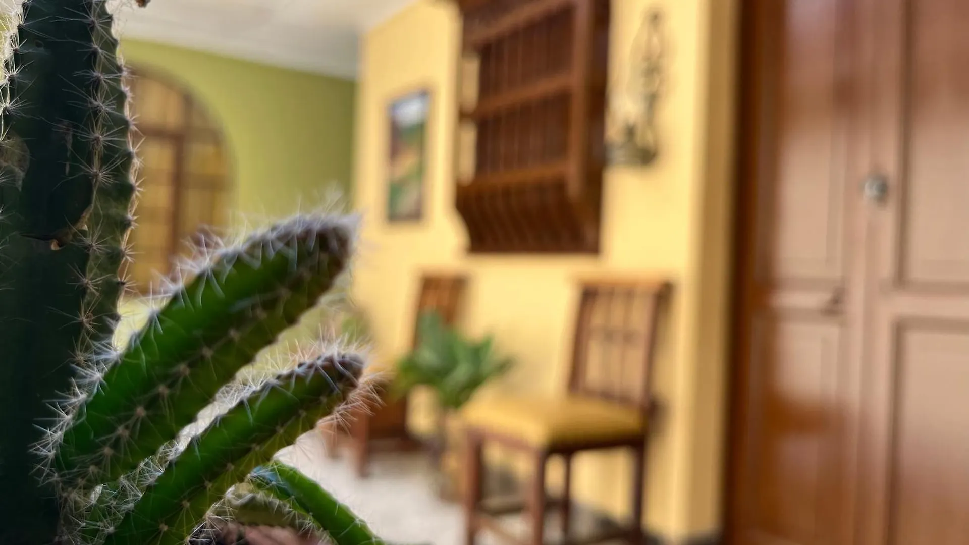 Séjour chez l'habitant Appartement Casa Grande à Medellín